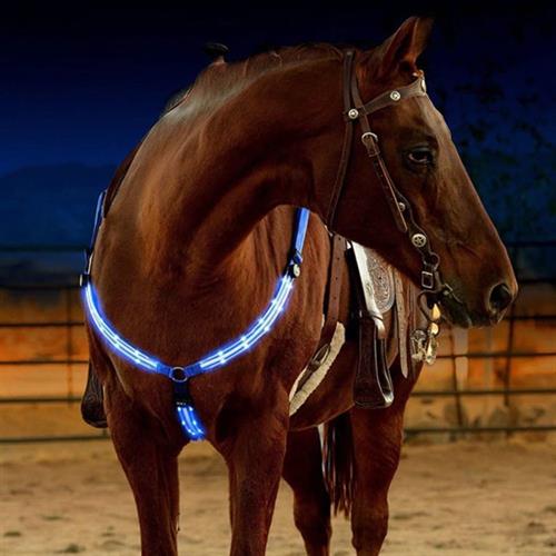 Fortøj med LED lys til heste - Blåt lys